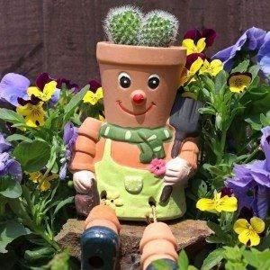 Terracotta Pot Man and Planter - Ultra Bee Health UK